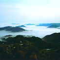 大芦高原の写真