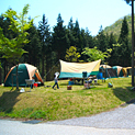 津谷キャンプ場の写真