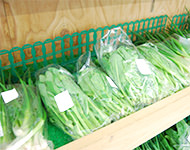 直売所の様子（小松菜）