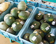 直売所の様子（カボチャ）