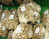 直売所の様子（しめじとなめ茸）