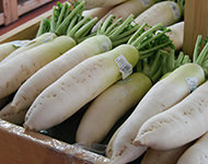 直売所の様子（ダイコン）