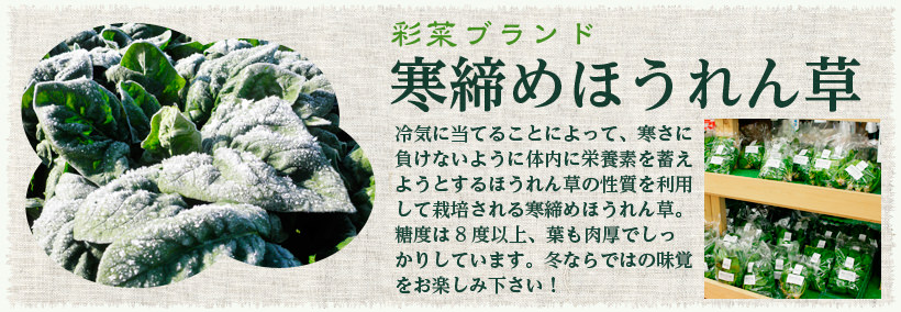 特大バナー 寒締めほうれん草